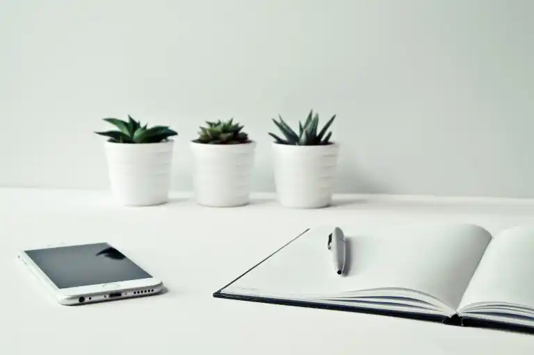 We are here to register your company